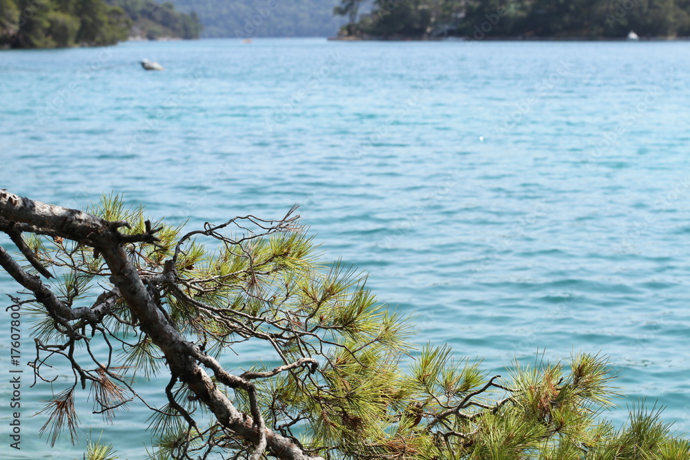 Lake in deep forest of Croatia in the afternoon. Lake in deep forest of Croatia in the afternoon.