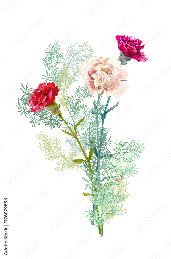 Fototapeta premium Bouquet of carnation schabaud, white, red flowers, green twigs asparagus, white background, composition for Christmas, Mother's Day, Victory day, digital draw, illustration in watercolor style, vector