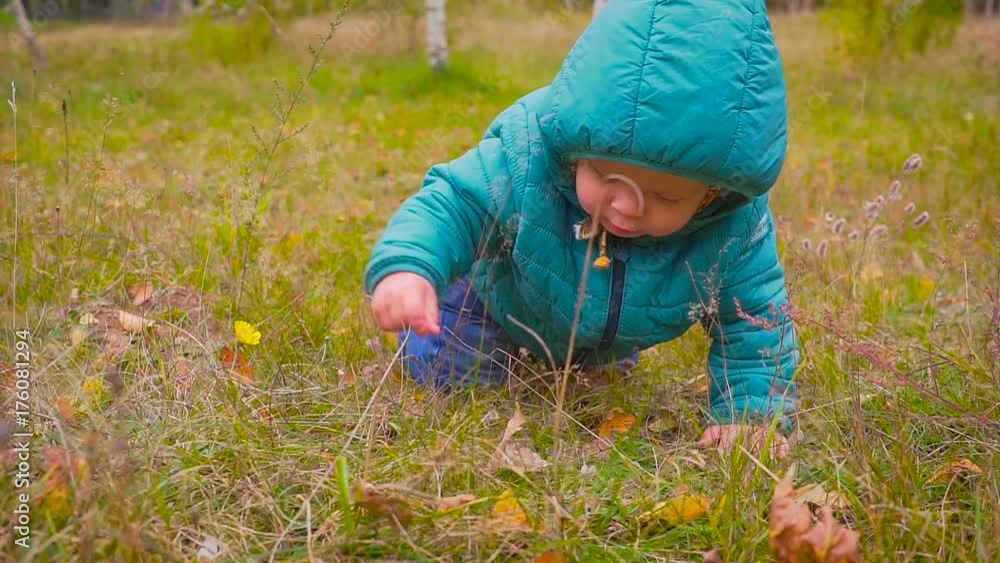 one year old boy crawls along the autumn park one year old boy crawls along the autumn park