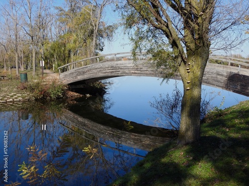 small bridge path in park with lake