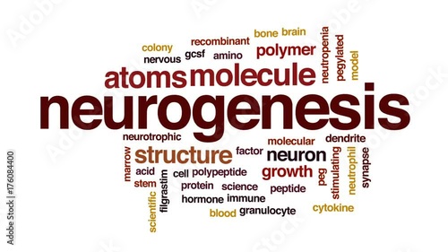 Neurogenesis animated word cloud, text design animation. photo