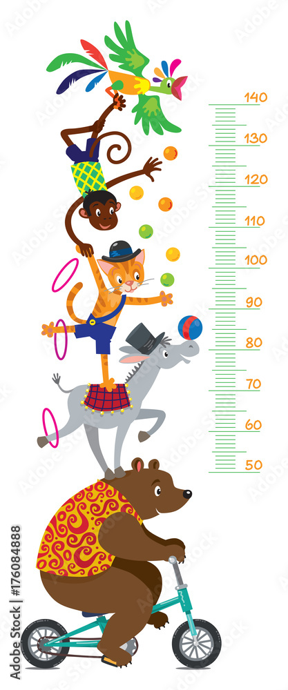 Fototapeta premium Funny circus animals. Meter wall or height chart