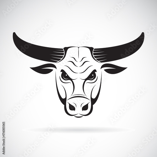 Vector of a bull head on a white background. Wild Animals.