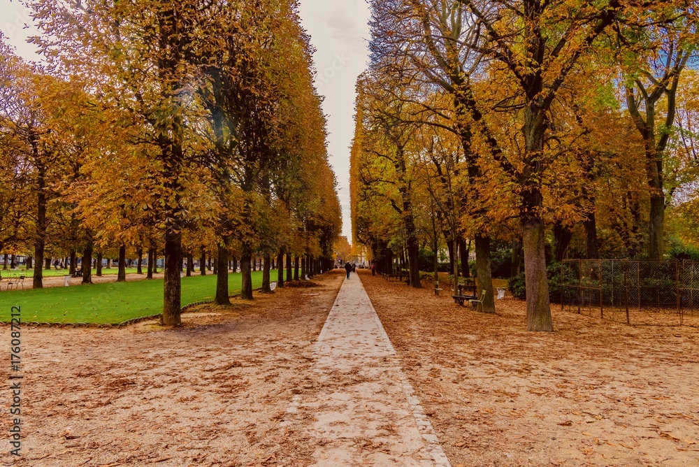 Fototapeta premium autumn in park in Luxembourg in Paris