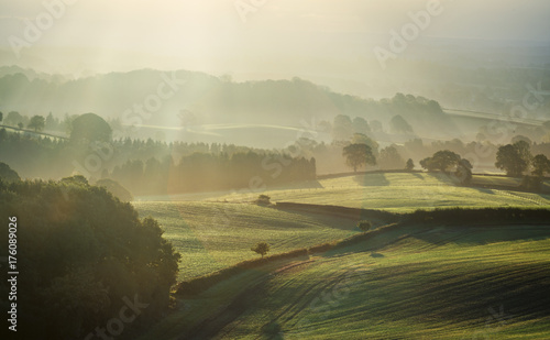 Shropshire Fields in Morning Mist photo