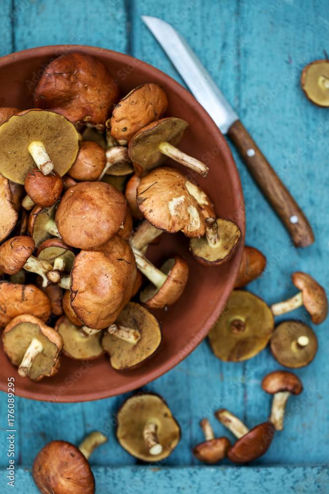 Plate with forest mushrooms, close Plate with forest mushrooms, close