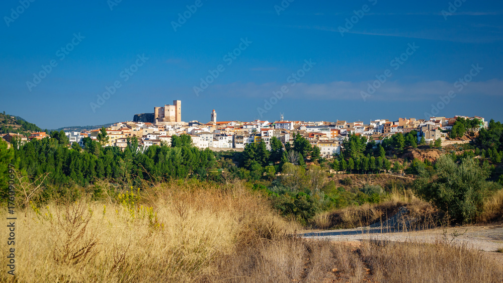 Cofrentes town and castle panoramic view