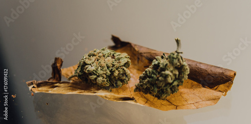 Fotografie weed blunt close-up