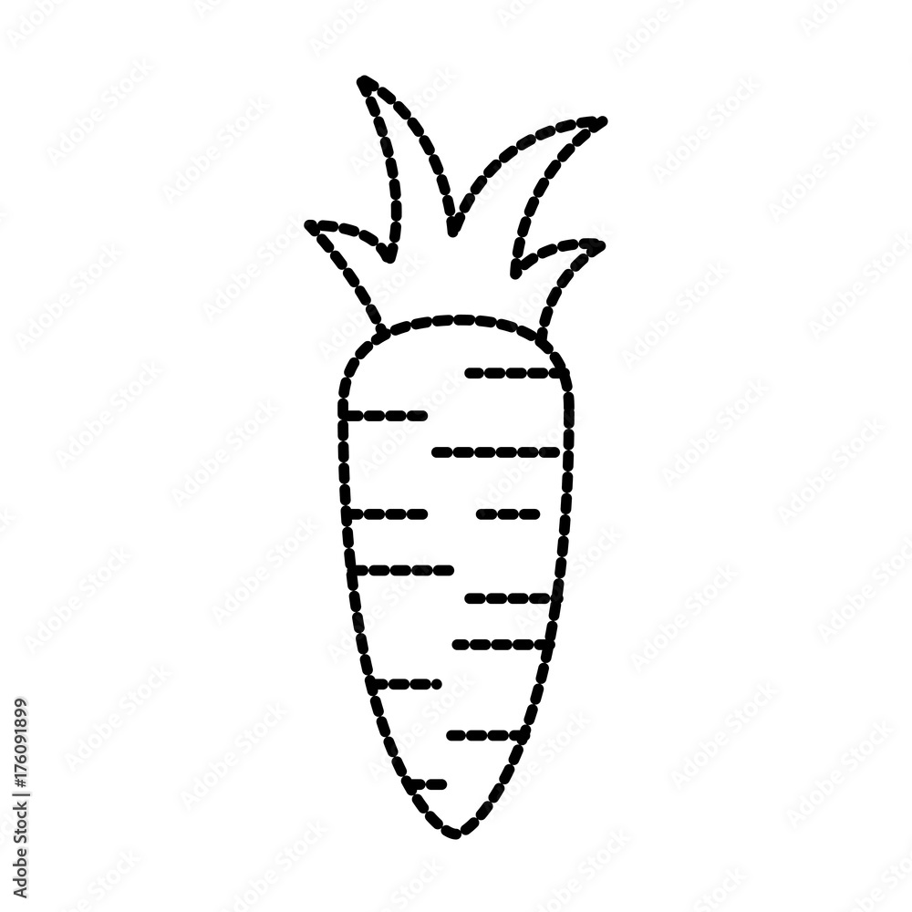 farm vegetable carrot raw harvest food farm vegetable carrot raw harvest food