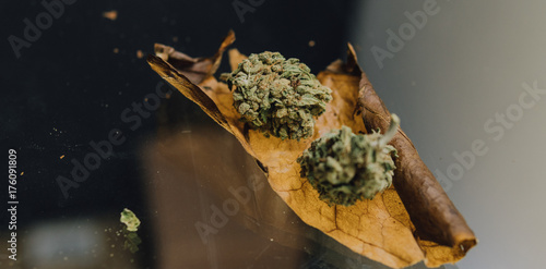 weed blunt close-up..two buds of marijuana lying on a cigarette sheet photo