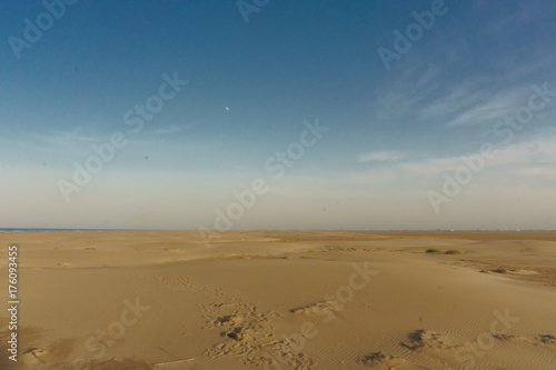 Dunes of El Fangar beach  Ebro Delta  Catalonia  Spain