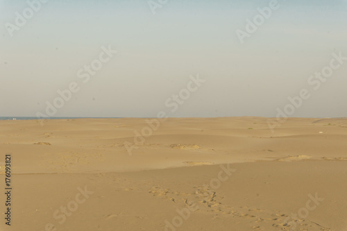 Dunes of El Fangar beach  Ebro Delta  Catalonia  Spain