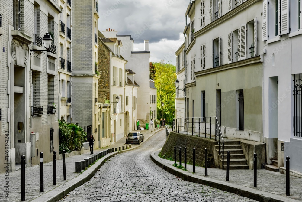 view of the palaces and streets of Paris in France view of the palaces and streets of Paris in France