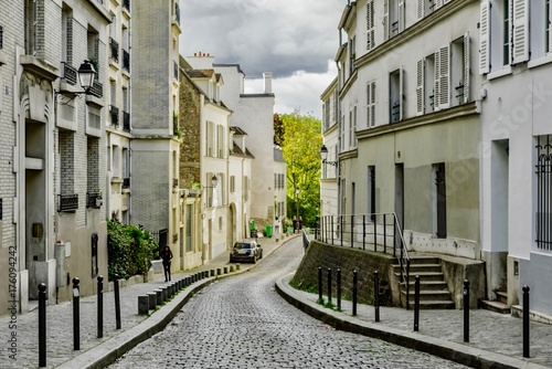 view of the palaces and streets of Paris in France
