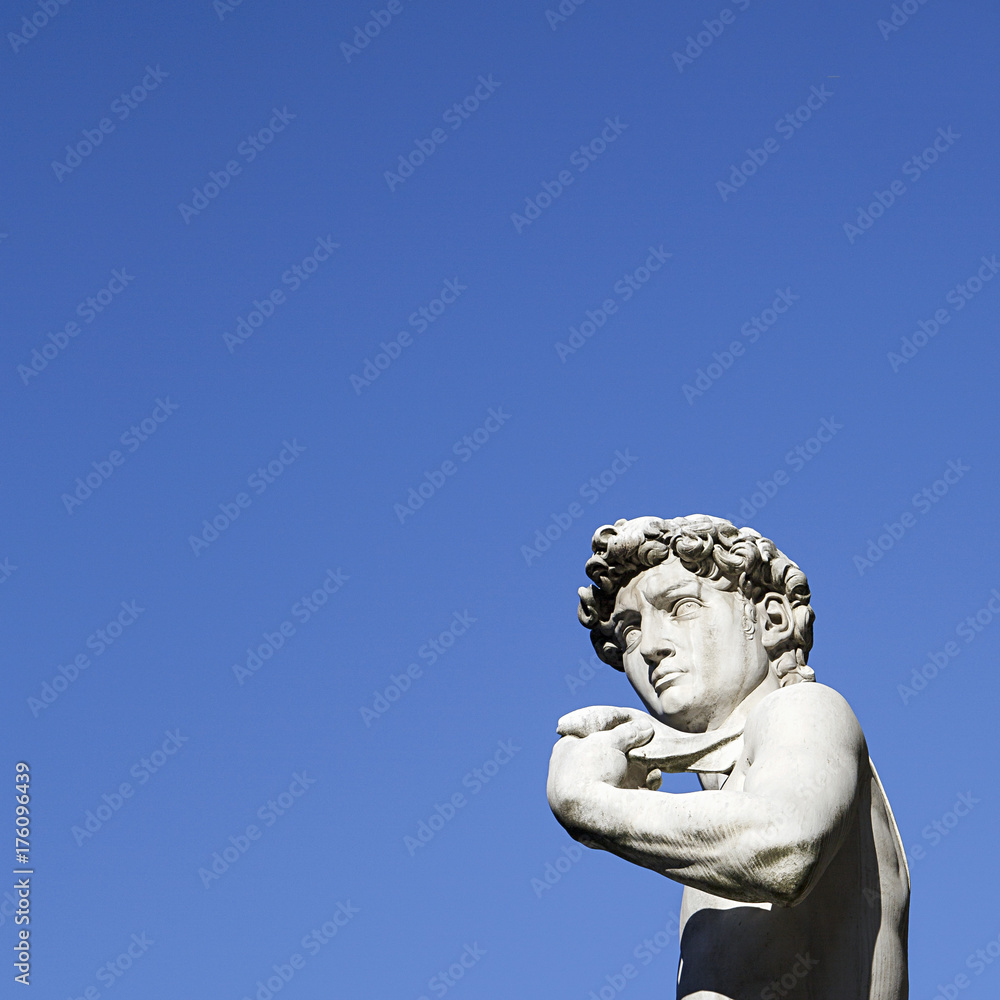 Michelangelo's David in Piazza Della Signoria in a square format