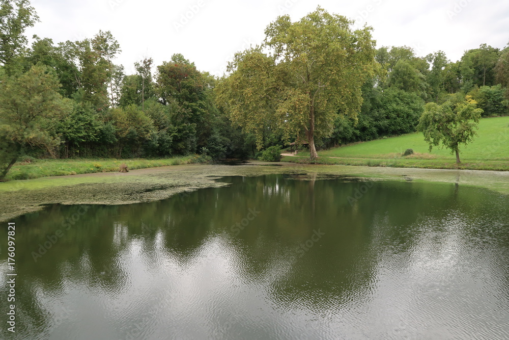 Obraz premium Saint-Jean-Le-Priche pond