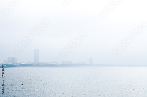 海霧の幕張海岸の鳥の群れ　船橋・茜浜より © tatsuo115