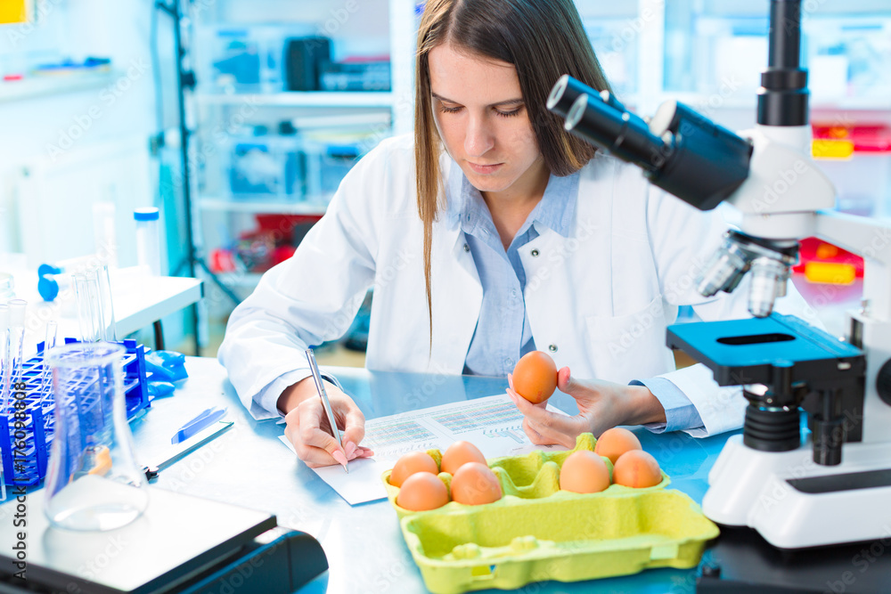 Eggs product research. Quality control processing foods. Eggs product research. Quality control processing foods.