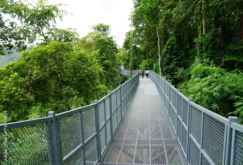 Fototapeta Naklejka Na Ścianę i Meble -  Tree Canopy Walkway, The Iron Bridge in the tropical forest at Queen Sirikit Botanic Garden, Chiang Mai, Thailand
