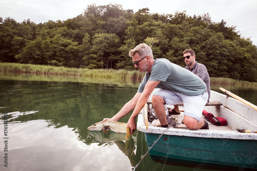 Two fly fishers are setting free a pike into the freshwater after catching it. Two fly fishers are setting free a pike into the freshwater after catching it.
