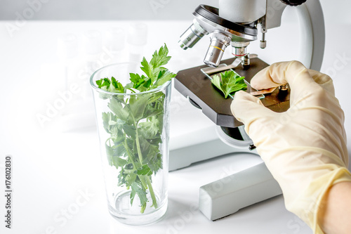 concept - check dietary supplements in laboratory on microscope