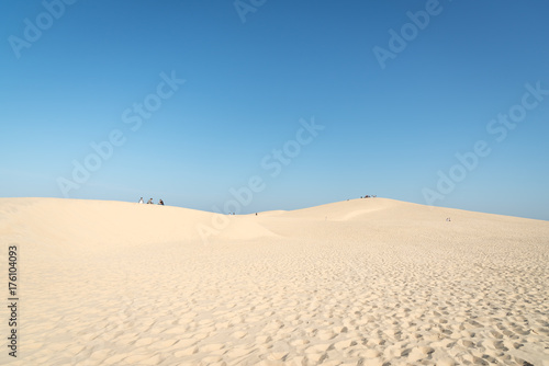 Dune du Pyla  ou Pilat   Bassin d Arcachon  France