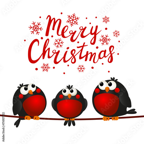 Christmas greeting card with cute bullfinches