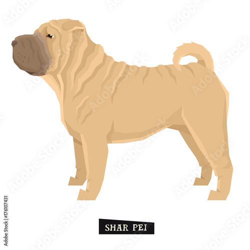 Foto Dog collection Shar Pei Geometric style Isolated object