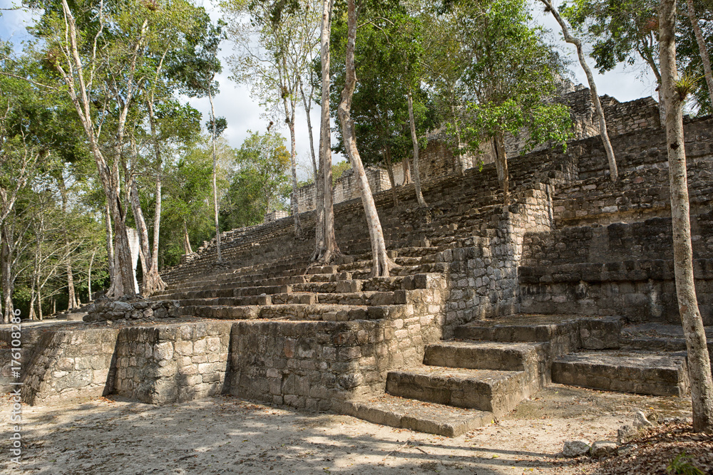 Fototapeta premium trees growing out of the structures at Calakmul mayan archeological site in Mexico