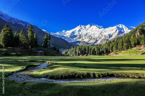 Fairy Meadows - Pakistan 