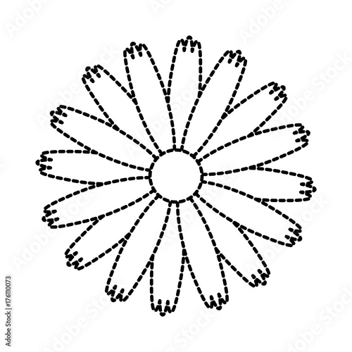 beautiful flower petal nature flora decoration