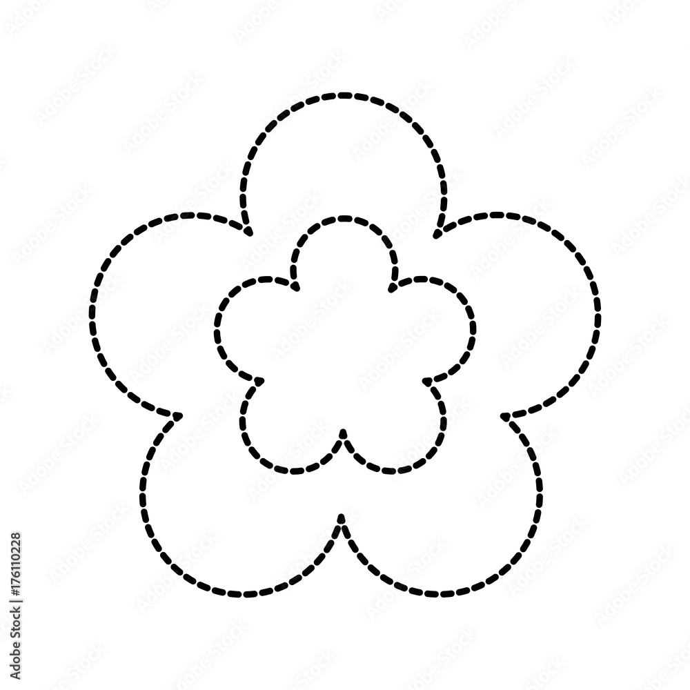 beautiful flower petal nature flora decoration beautiful flower petal nature flora decoration