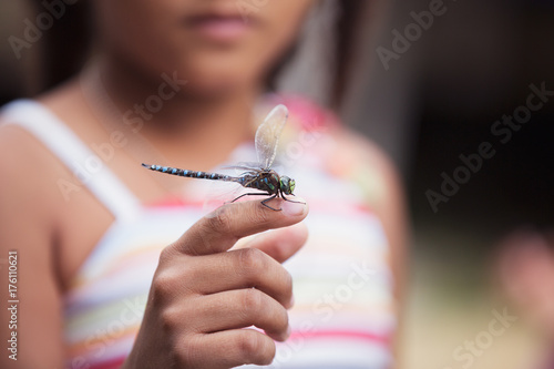 Closeup of a young girl holding a dragonfly on her finger photo