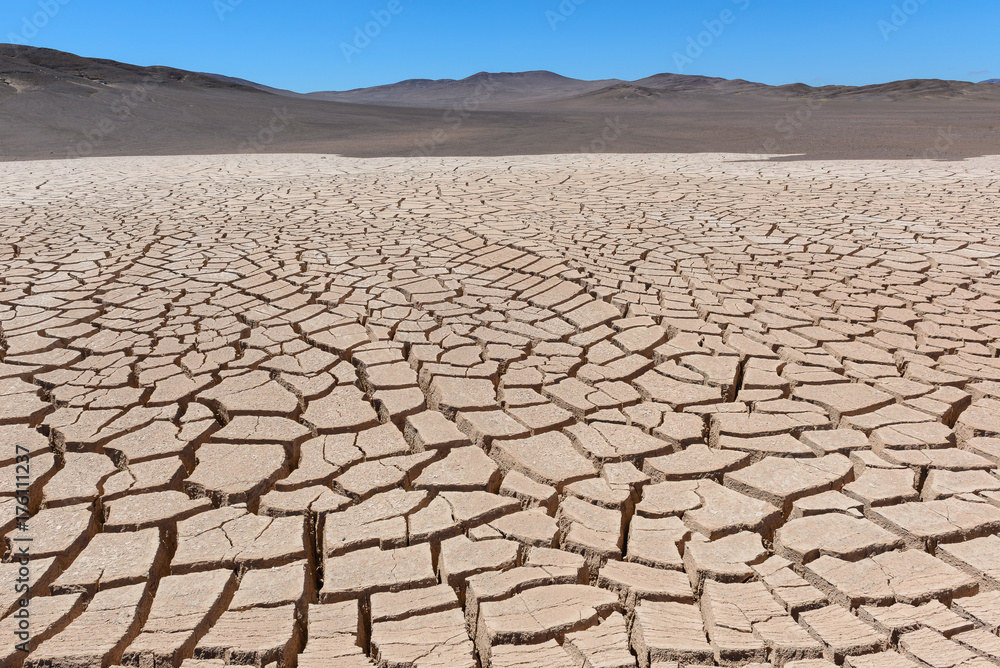 Dry cracked earth, Atacama, Chile