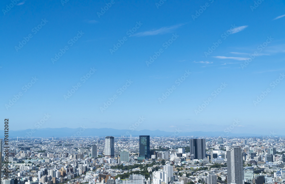 Fototapeta premium 東京風景