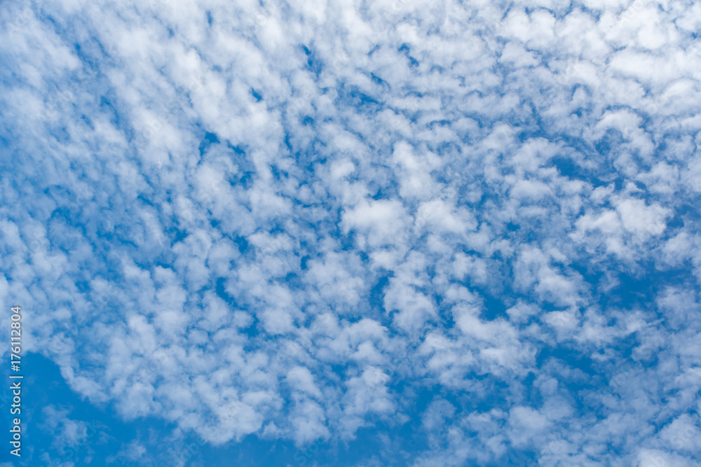 Cirrostratus cloudscape or Fluffy cirrus clouds on blue blue sky, Beautiful cirrocumulus on the high altitude layer Cirrostratus cloudscape or Fluffy cirrus clouds on blue blue sky, Beautiful cirrocumulus on the high altitude layer