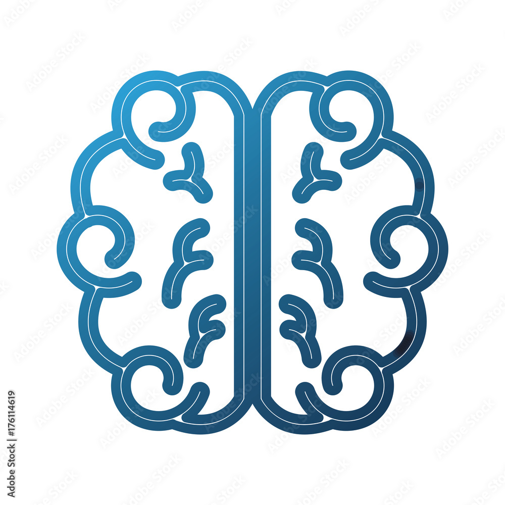 brain school knowledge thinking science study brain school knowledge thinking science study