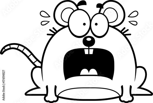 Terrified Little Mouse
