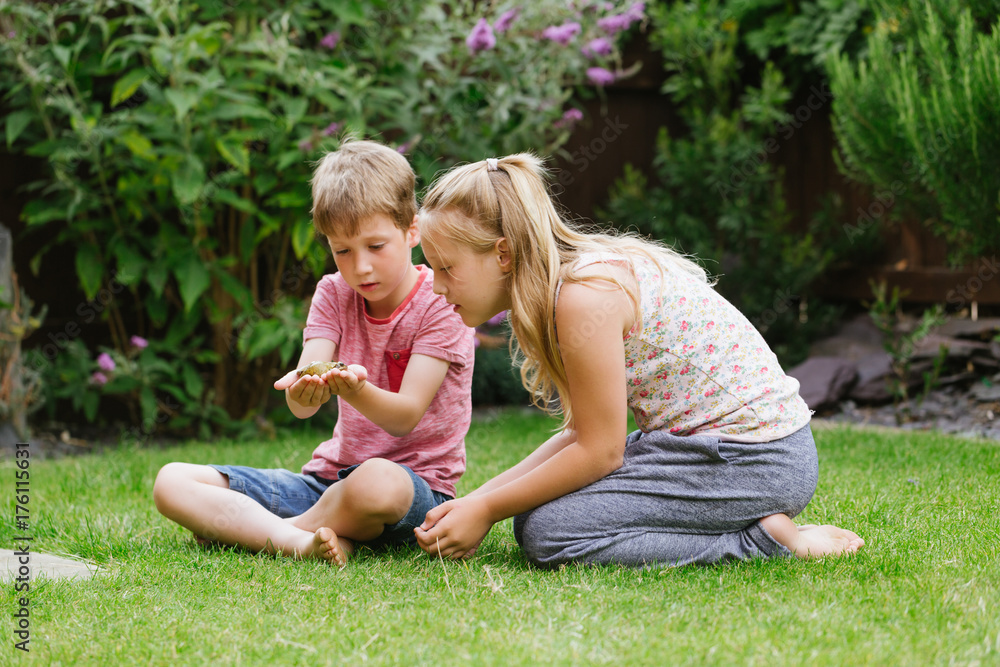 Children looking at frog in garden at home Children looking at frog in garden at home