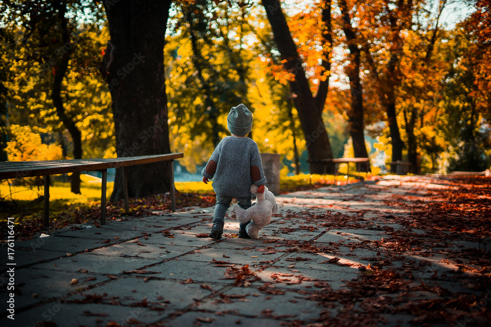 Fototapeta premium a little boy in a gray knitted sweater with a gray teddy bear walking along the autumn park