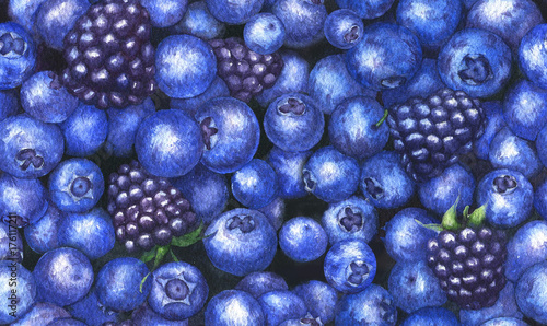 Hand drawn watercolor seamless repeated pattern with tasty blueberries and blackberries on the white background