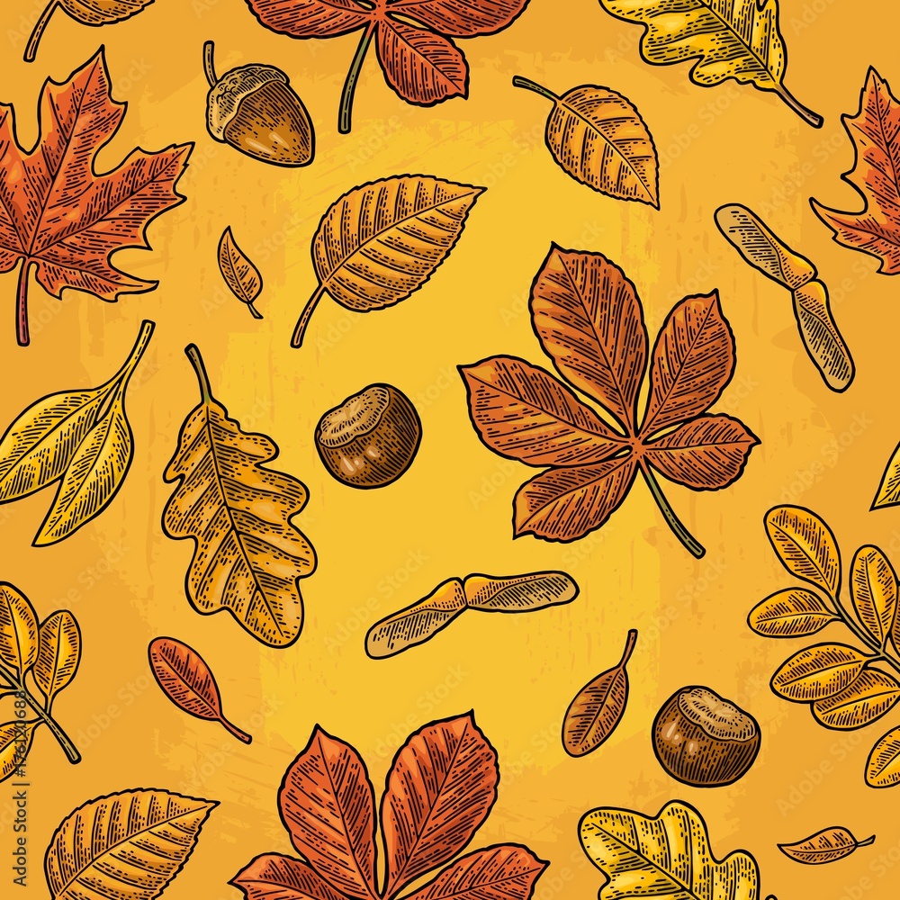 Seamless pattern leafs, acorn, chestnut and seed. Vector vintage engraving Seamless pattern leafs, acorn, chestnut and seed. Vector vintage engraving
