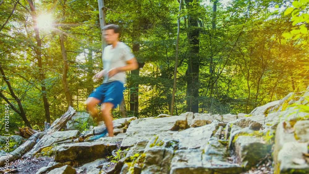 jogger läuft durch den wald - im sommer mit sonnenschein jogger läuft durch den wald - im sommer mit sonnenschein