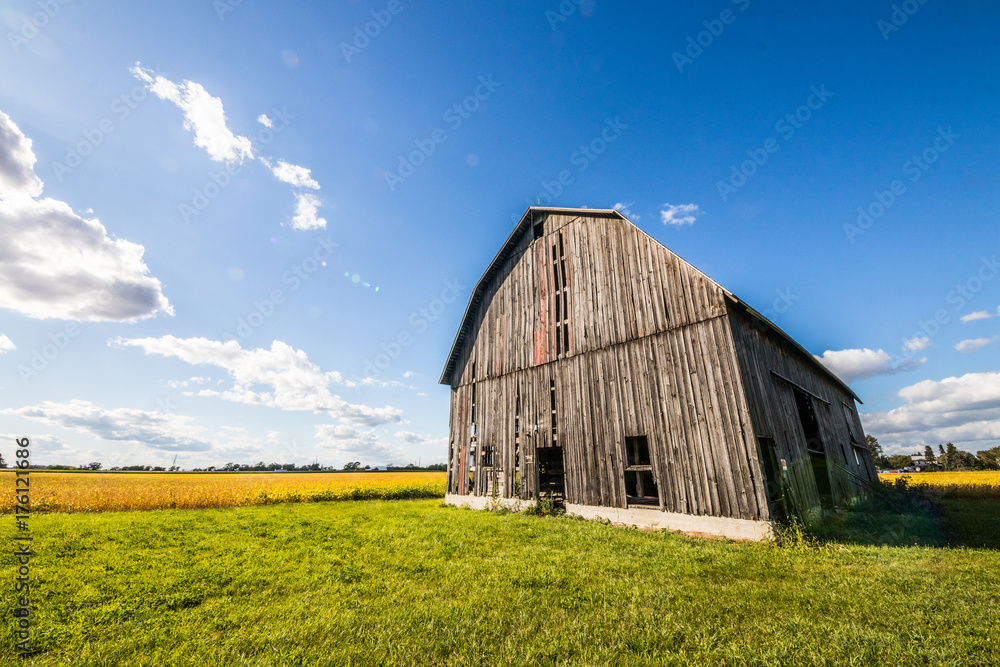 Obraz premium old barn and field 