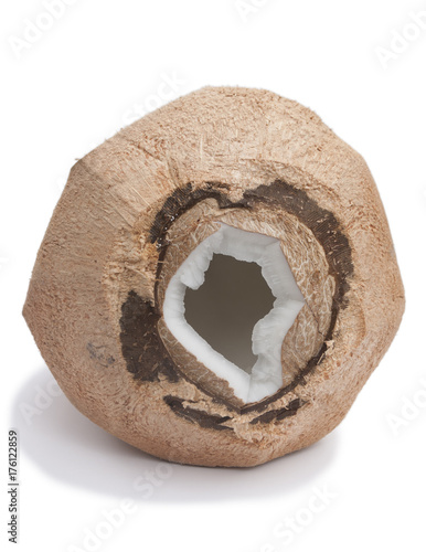 Dry coconut in studio with white background, organic cultivation in Guatemala, tropical fruit. Cocos nucifera. © Byron Ortiz