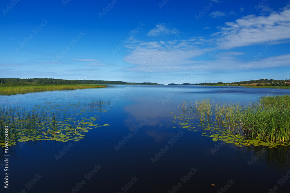 Panoramic view of the smooth surface of the lake with vegetation