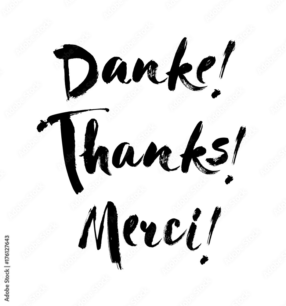 Thank you lettering in english, french, german Thanks, Merci, Danke Hand drawn vector phrase. Handwritten modern brush calligraphy for invitation and greeting card