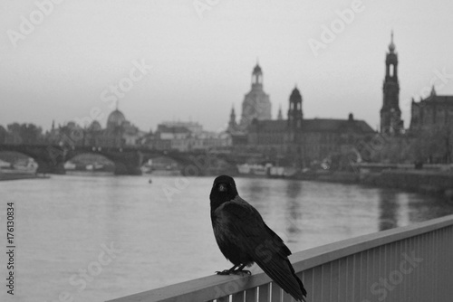 Siluetas | Dresden, Alemania - 10/2012