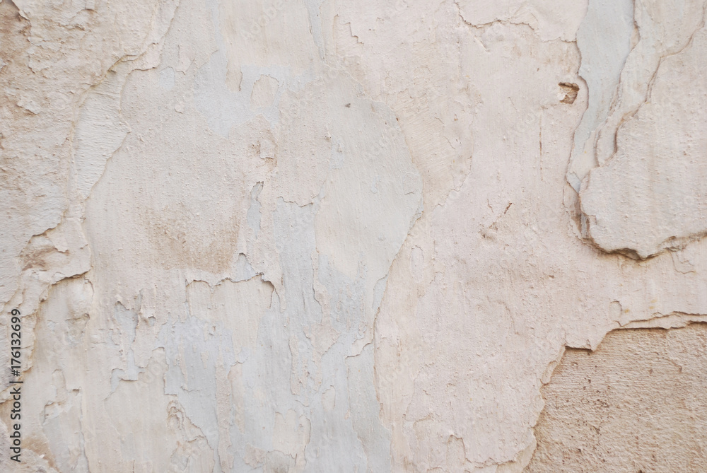 Light color painted wall texture Light color painted wall texture