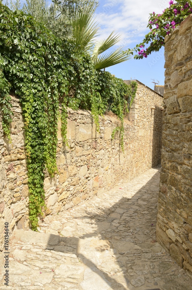 Ivy on wall in Peratallada, Girona, Spain